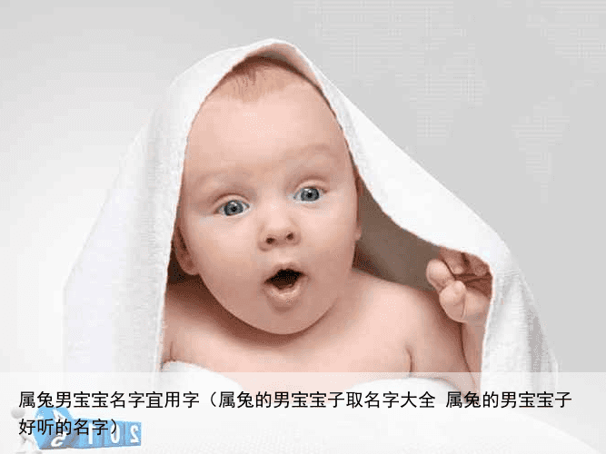 属兔男宝宝名字宜用字（属兔的男宝宝子取名字大全 属兔的男宝宝子好听的名字）