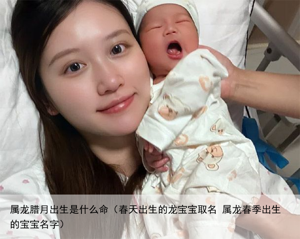 属龙腊月出生是什么命（春天出生的龙宝宝取名 属龙春季出生的宝宝名字）