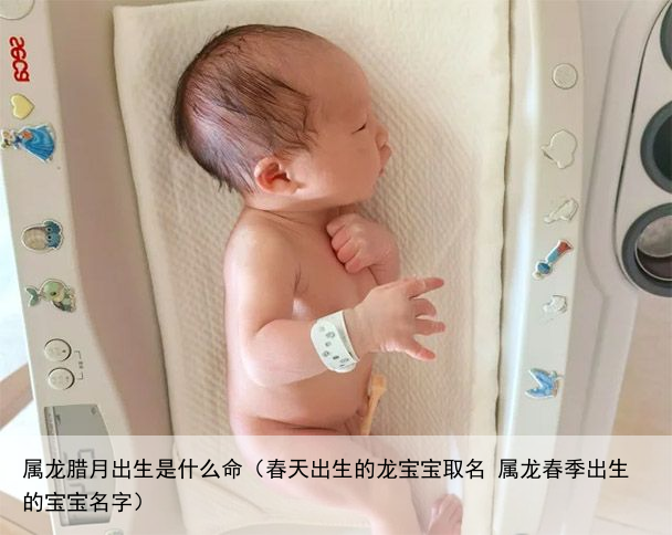 属龙腊月出生是什么命（春天出生的龙宝宝取名 属龙春季出生的宝宝名字）