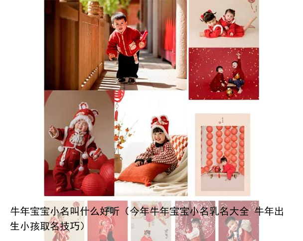 牛年宝宝小名叫什么好听（今年牛年宝宝小名乳名大全 牛年出生小孩取名技巧）