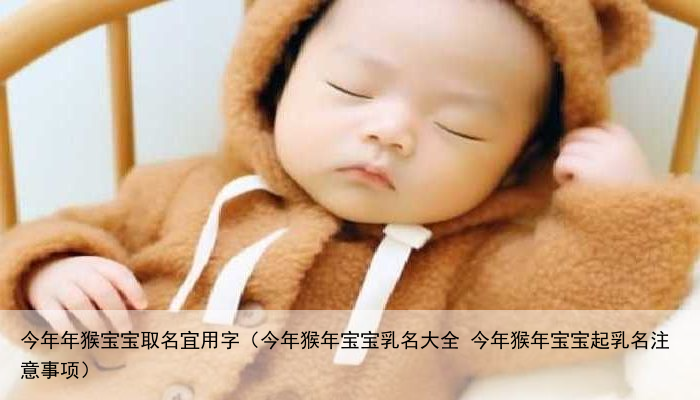 今年年猴宝宝取名宜用字（今年猴年宝宝乳名大全 今年猴年宝宝起乳名注意事项）