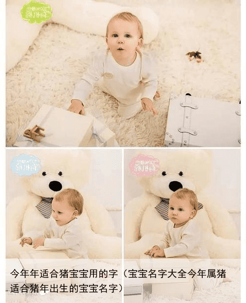 今年年适合猪宝宝用的字（宝宝名字大全今年属猪 适合猪年出生的宝宝名字）
