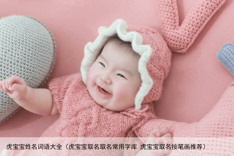 虎宝宝姓名词语大全（虎宝宝取名取名常用字库 虎宝宝取名按笔画推荐）