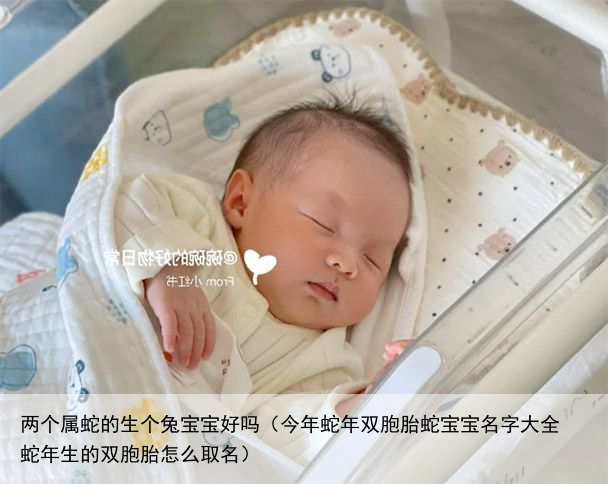两个属蛇的生个兔宝宝好吗（今年蛇年双胞胎蛇宝宝名字大全 蛇年生的双胞胎怎么取名）