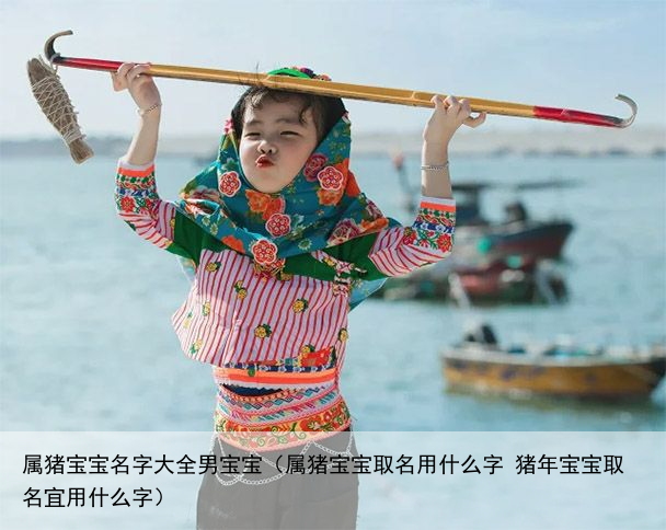 属猪宝宝名字大全男宝宝（属猪宝宝取名用什么字 猪年宝宝取名宜用什么字）