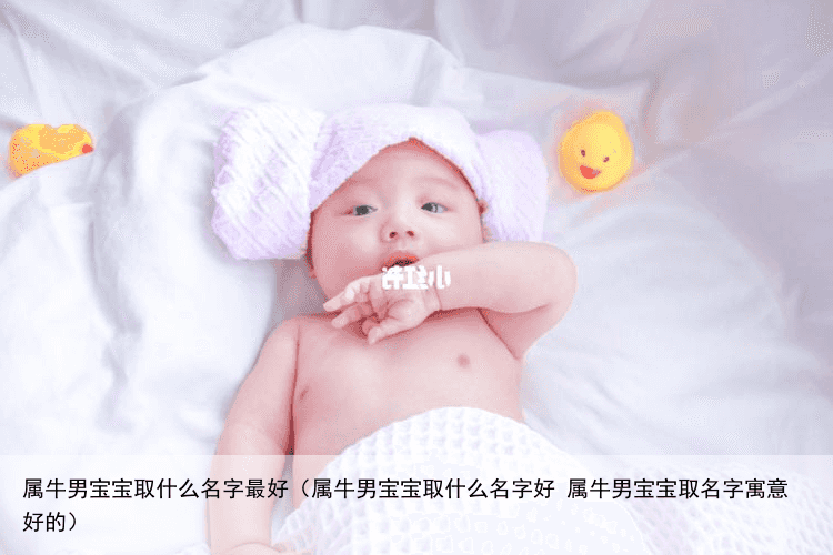 属牛男宝宝取什么名字最好（属牛男宝宝取什么名字好 属牛男宝宝取名字寓意好的）