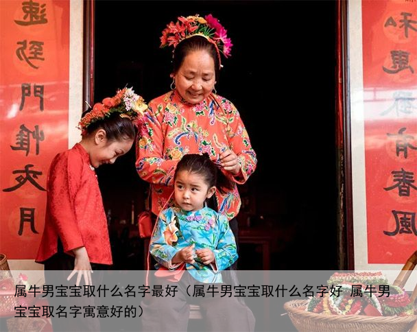 属牛男宝宝取什么名字最好（属牛男宝宝取什么名字好 属牛男宝宝取名字寓意好的）