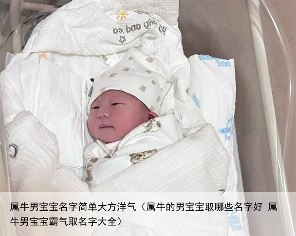 属牛男宝宝名字简单大方洋气（属牛的男宝宝取哪些名字好 属牛男宝宝霸气取名字大全）