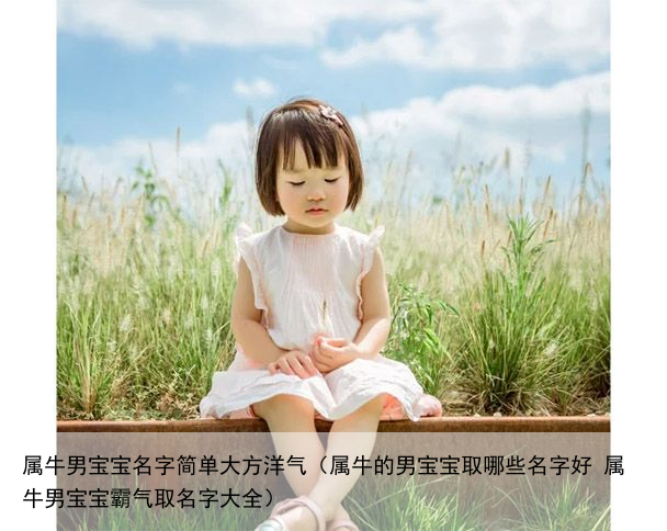 属牛男宝宝名字简单大方洋气（属牛的男宝宝取哪些名字好 属牛男宝宝霸气取名字大全）