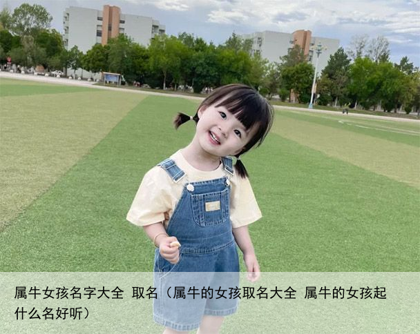 属牛女孩名字大全 取名（属牛的女孩取名大全 属牛的女孩起什么名好听）