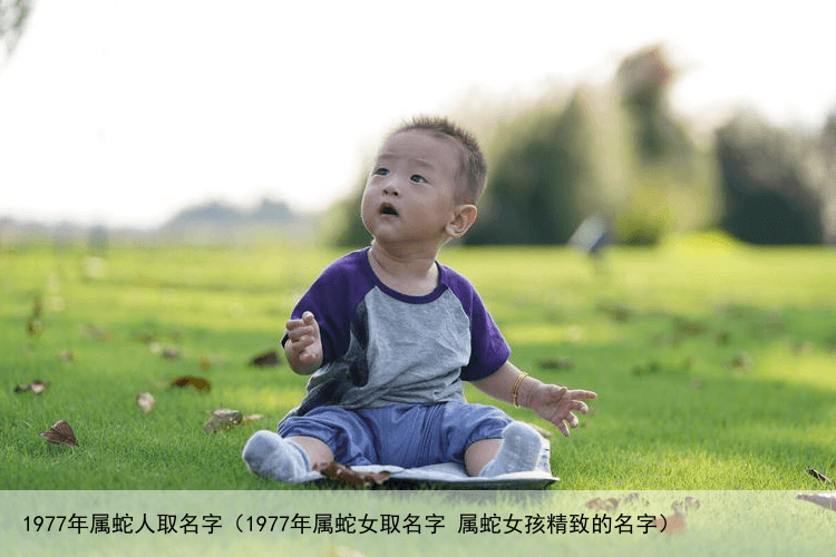 1977年属蛇人取名字（1977年属蛇女取名字 属蛇女孩精致的名字）