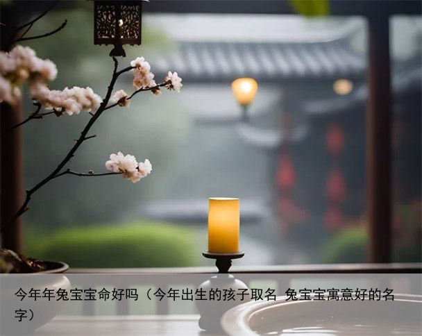 今年年兔宝宝命好吗（今年出生的孩子取名 兔宝宝寓意好的名字）