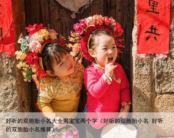 好听的双胞胎小名大全男宝宝两个字（好听的双胞胎小名 好听的双胞胎小名推荐）