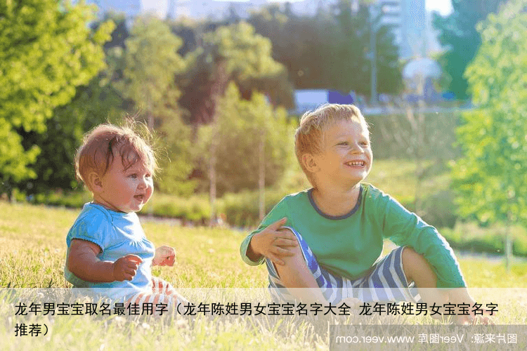 龙年男宝宝取名最佳用字（龙年陈姓男女宝宝名字大全 龙年陈姓男女宝宝名字推荐）