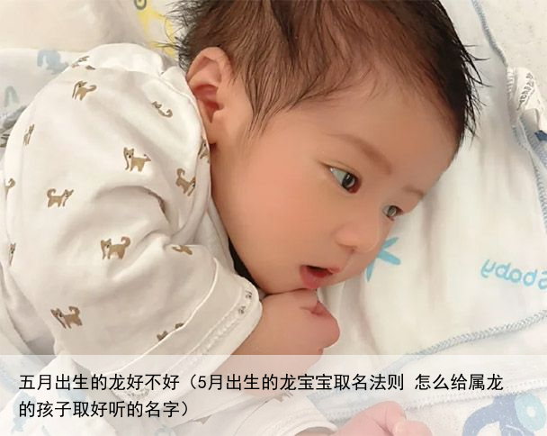 五月出生的龙好不好（5月出生的龙宝宝取名法则 怎么给属龙的孩子取好听的名字）