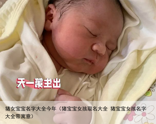 猪女宝宝名字大全今年（猪宝宝女孩取名大全 猪宝宝女孩名字大全带寓意）