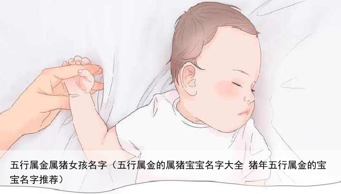 五行属金属猪女孩名字（五行属金的属猪宝宝名字大全 猪年五行属金的宝宝名字推荐）