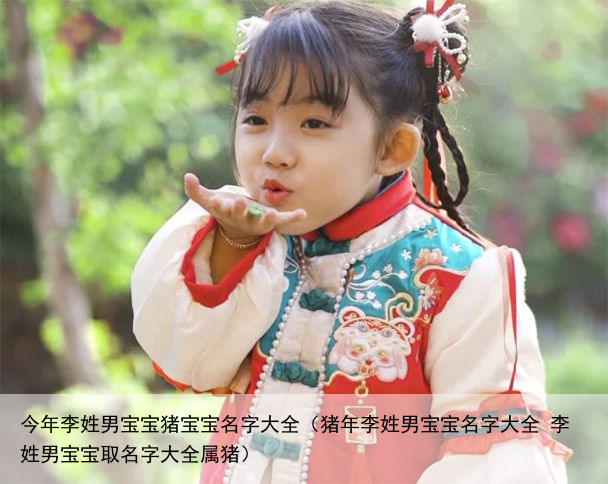 今年李姓男宝宝猪宝宝名字大全（猪年李姓男宝宝名字大全 李姓男宝宝取名字大全属猪）