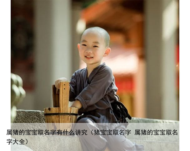 属猪的宝宝取名字有什么讲究（猪宝宝取名字 属猪的宝宝取名字大全）