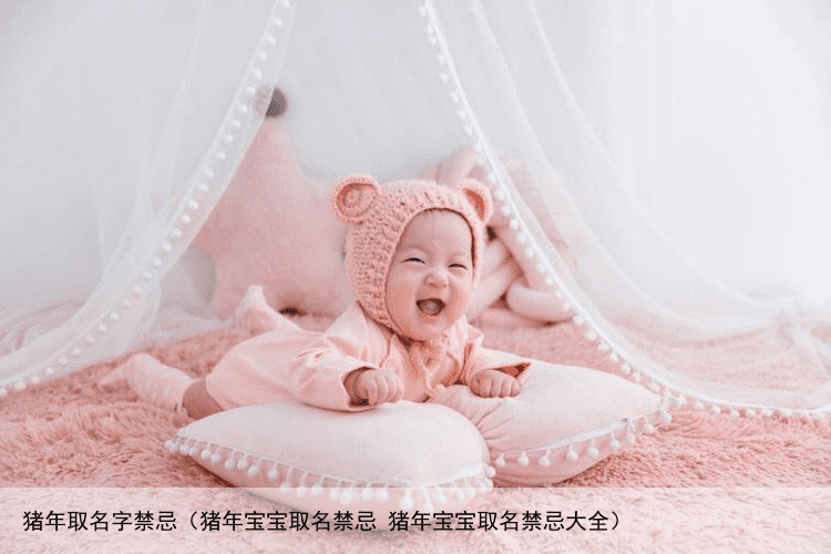 猪年取名字禁忌（猪年宝宝取名禁忌 猪年宝宝取名禁忌大全）