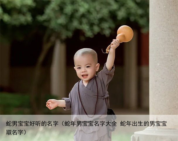 蛇男宝宝好听的名字（蛇年男宝宝名字大全 蛇年出生的男宝宝取名字）