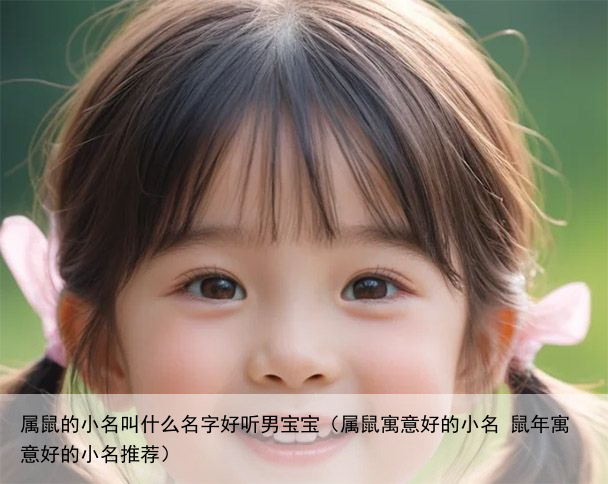 属鼠的小名叫什么名字好听男宝宝（属鼠寓意好的小名 鼠年寓意好的小名推荐）