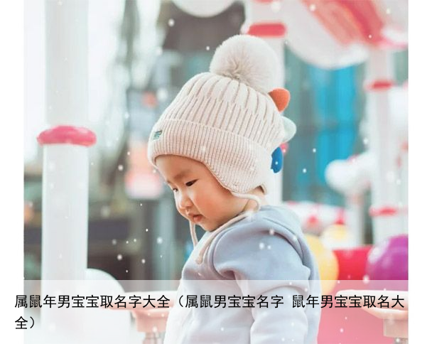 属鼠年男宝宝取名字大全（属鼠男宝宝名字 鼠年男宝宝取名大全）