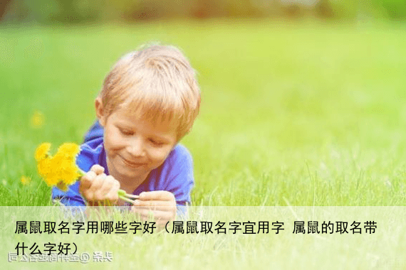 属鼠取名字用哪些字好（属鼠取名字宜用字 属鼠的取名带什么字好）