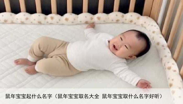 鼠年宝宝起什么名字（鼠年宝宝取名大全 鼠年宝宝取什么名字好听）