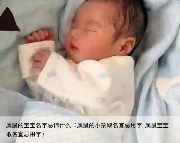 属鼠的宝宝名字忌讳什么（属鼠的小孩取名宜忌用字 属鼠宝宝取名宜忌用字）