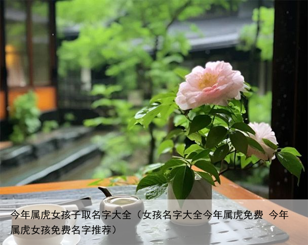 今年属虎女孩子取名字大全（女孩名字大全今年属虎免费 今年属虎女孩免费名字推荐）