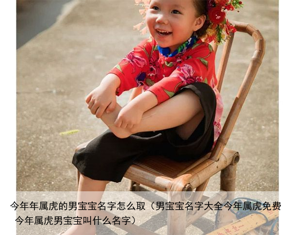 今年年属虎的男宝宝名字怎么取（男宝宝名字大全今年属虎免费 今年属虎男宝宝叫什么名字）