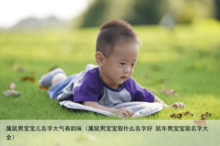 属鼠男宝宝儿名字大气有韵味（属鼠男宝宝取什么名字好 鼠年男宝宝取名字大全）