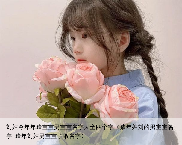 刘姓今年年猪宝宝男宝宝名字大全四个字（猪年姓刘的男宝宝名字 猪年刘姓男宝宝子取名字）