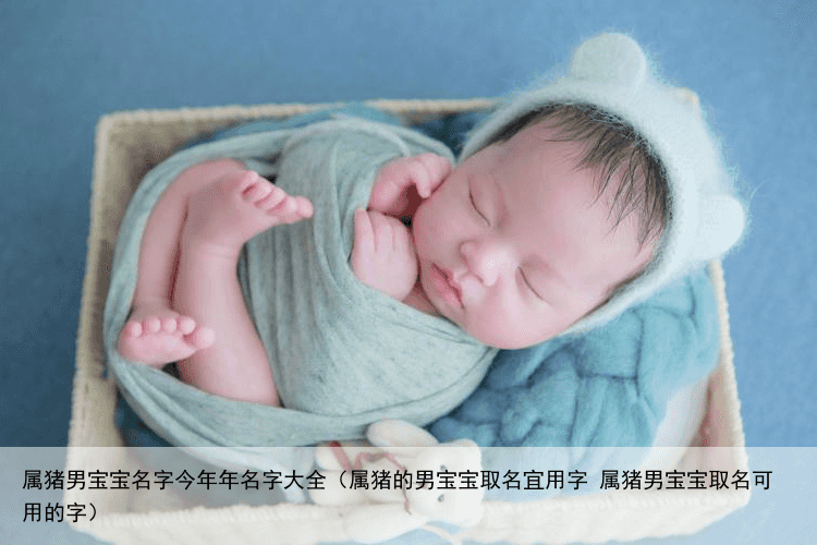 属猪男宝宝名字今年年名字大全（属猪的男宝宝取名宜用字 属猪男宝宝取名可用的字）