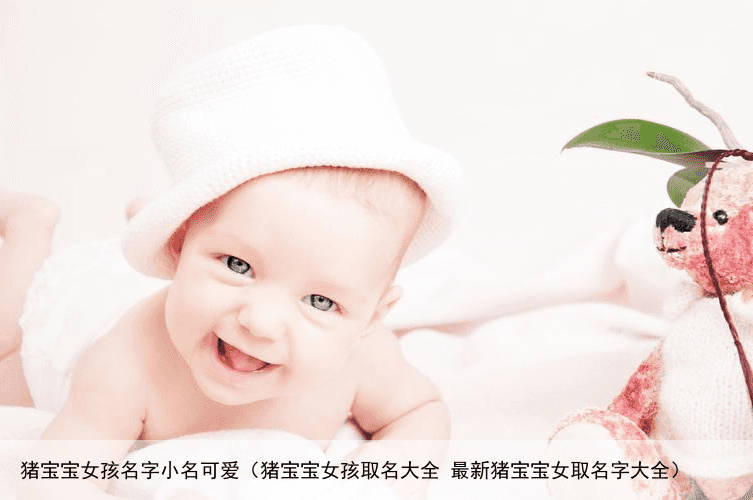 猪宝宝女孩名字小名可爱（猪宝宝女孩取名大全 最新猪宝宝女取名字大全）