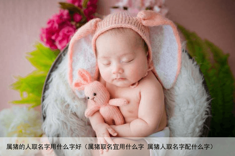 属猪的人取名字用什么字好（属猪取名宜用什么字 属猪人取名字配什么字）