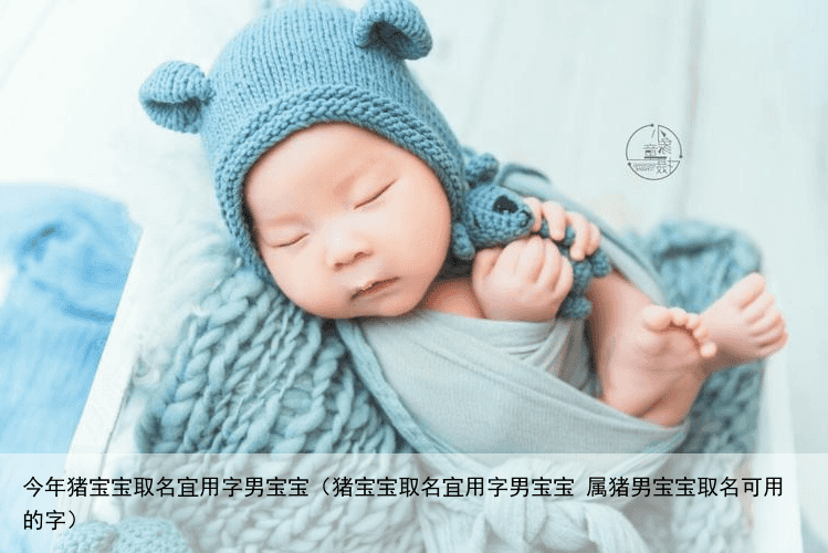 今年猪宝宝取名宜用字男宝宝（猪宝宝取名宜用字男宝宝 属猪男宝宝取名可用的字）