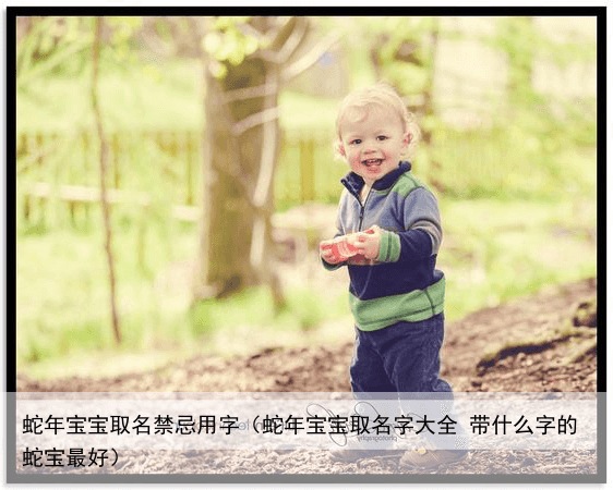 蛇年宝宝取名禁忌用字（蛇年宝宝取名字大全 带什么字的蛇宝最好）