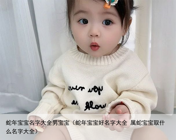 蛇年宝宝名字大全男宝宝（蛇年宝宝好名字大全 属蛇宝宝取什么名字大全）