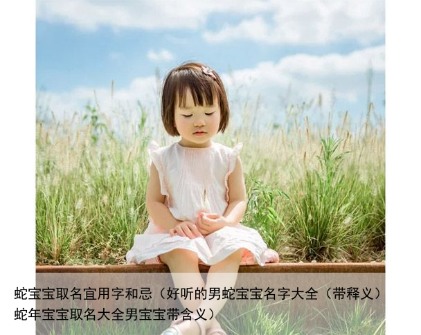 蛇宝宝取名宜用字和忌（好听的男蛇宝宝名字大全（带释义） 蛇年宝宝取名大全男宝宝带含义）