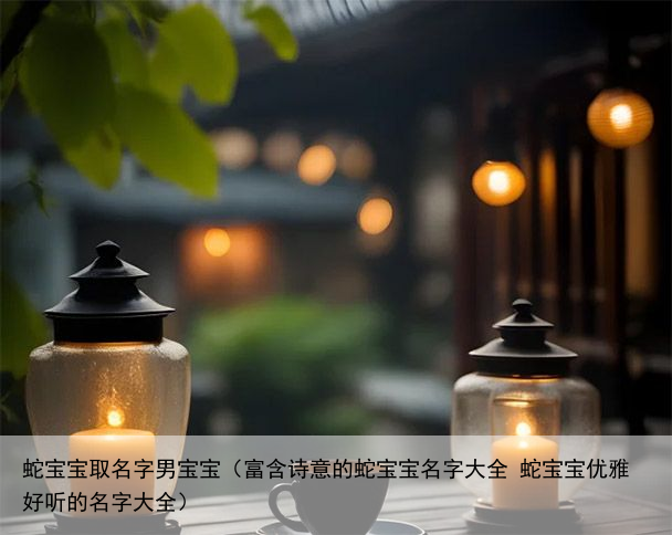 蛇宝宝取名字男宝宝（富含诗意的蛇宝宝名字大全 蛇宝宝优雅好听的名字大全）