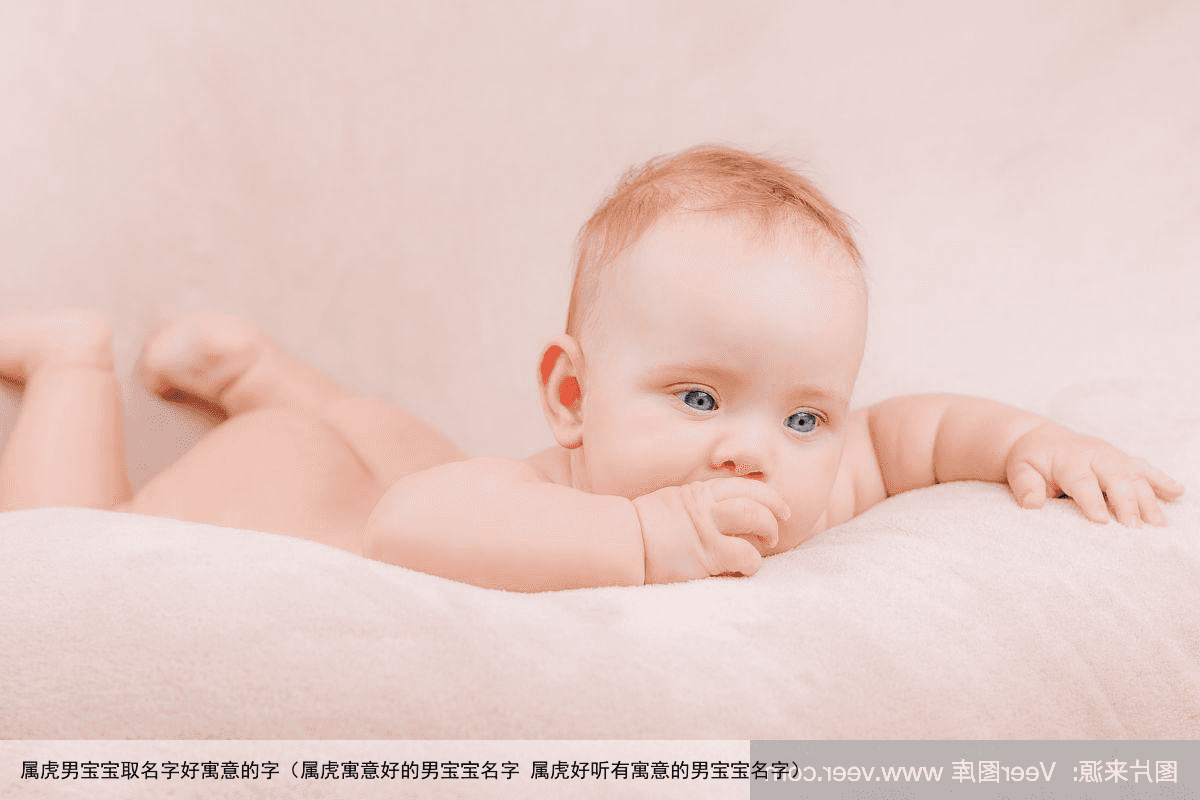 属虎男宝宝取名字好寓意的字（属虎寓意好的男宝宝名字 属虎好听有寓意的男宝宝名字）