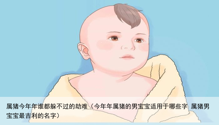 属猪今年年谁都躲不过的劫难（今年年属猪的男宝宝适用于哪些字 属猪男宝宝最吉利的名字）