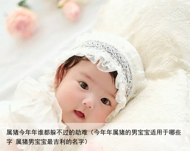 属猪今年年谁都躲不过的劫难（今年年属猪的男宝宝适用于哪些字 属猪男宝宝最吉利的名字）