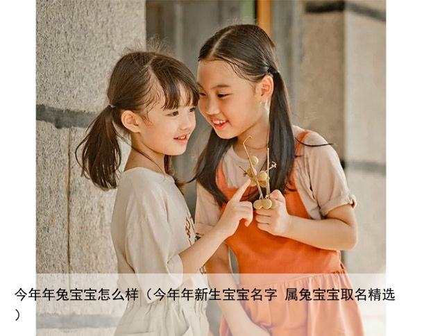 今年年兔宝宝怎么样（今年年新生宝宝名字 属兔宝宝取名精选）