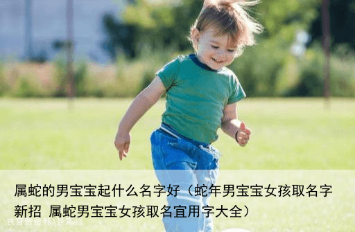 属蛇的男宝宝起什么名字好（蛇年男宝宝女孩取名字新招 属蛇男宝宝女孩取名宜用字大全）