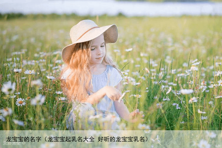 龙宝宝的名字（龙宝宝起乳名大全 好听的龙宝宝乳名）