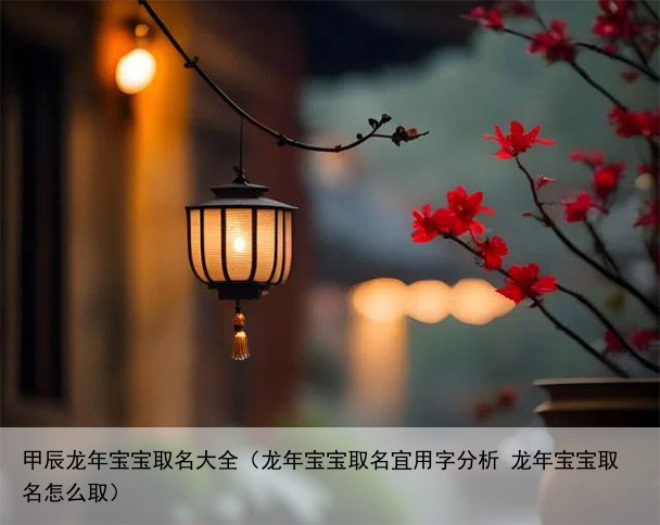 甲辰龙年宝宝取名大全（龙年宝宝取名宜用字分析 龙年宝宝取名怎么取）