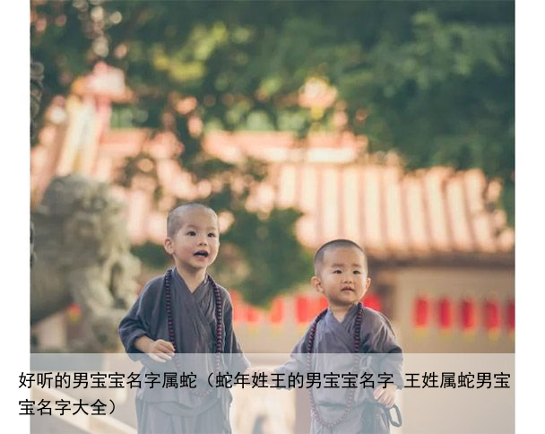 好听的男宝宝名字属蛇（蛇年姓王的男宝宝名字 王姓属蛇男宝宝名字大全）